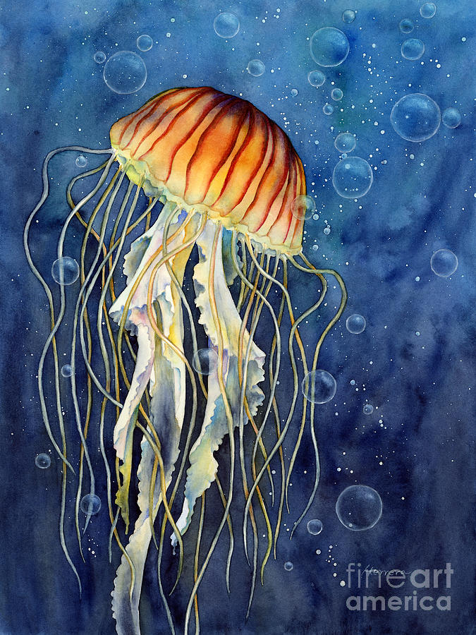 675x900 Jellyfish Painting By Hailey E Herrera - Jellyfish Painting