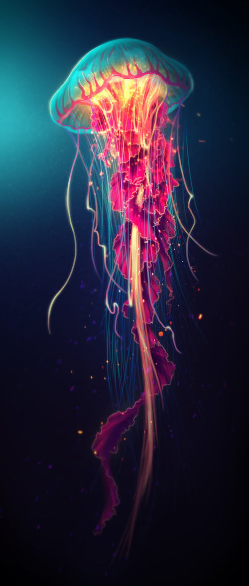 500x1176 Jellyfish By Shobey1kanoby - Jellyfish Painting