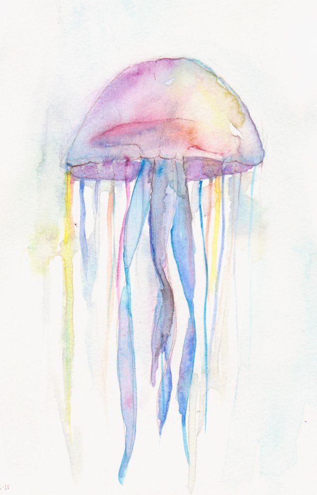 639x996 Jellyfish Figurative, Watercolor And Watercolor Print - Jellyfish Painting Watercolor