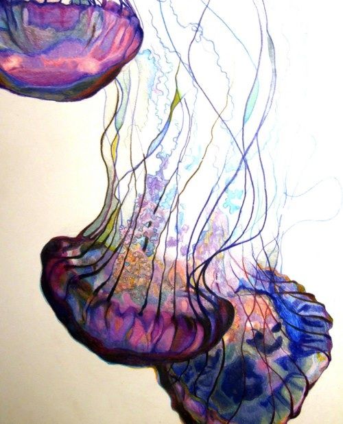 500x618 Jellyfish Watercolor Ink High School Art 2 Painting - Jellyfish Painting Watercolor