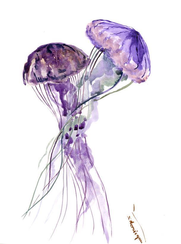 610x820 Purple Pink Jellyfish Painting, Original Watercolor Painting, 12 X - Jellyfish Painting Watercolor