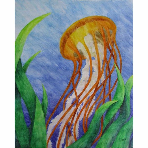 600x600 Pacific Sea Nettle Jellyfish - Jellyfish Watercolor Painting