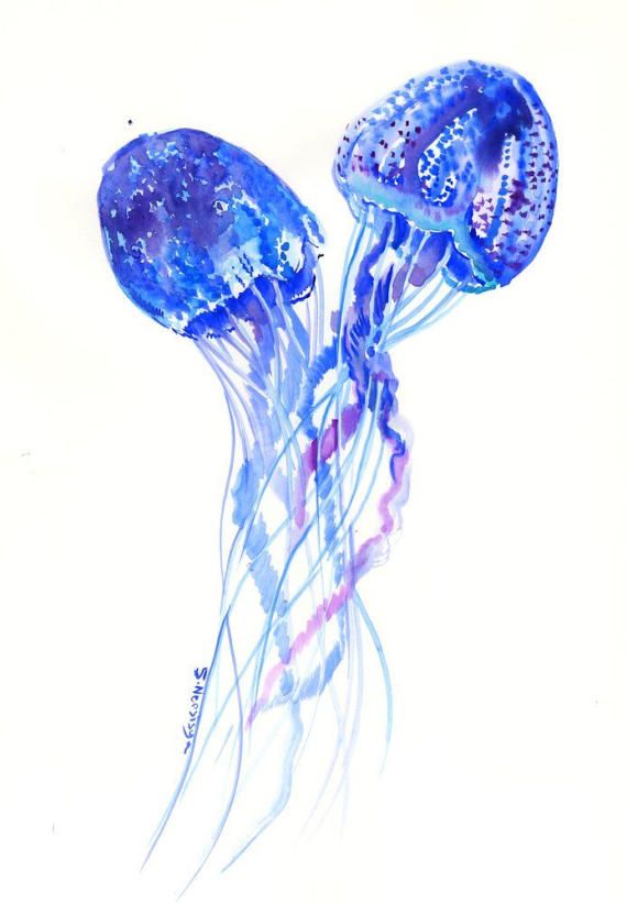 570x821 Blue Purple Pink Jellyfish Painting, Original Watercolor Painting - Jellyfish Watercolor Painting