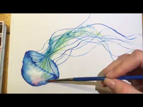 480x360 Watercolour - Jellyfish Watercolor Painting