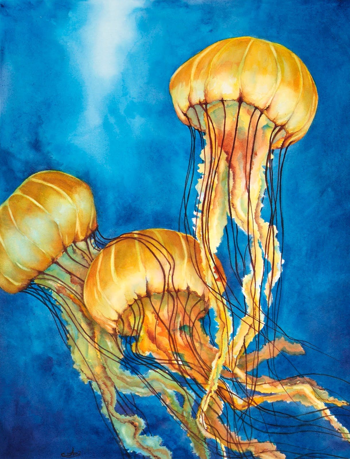 1220x1600 Jellyfish Painting - Jellyfish Watercolor Painting