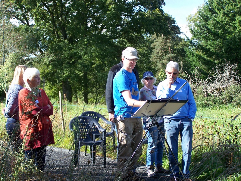 800x602 Jem Bowden Big Sky Art - Jem Painting