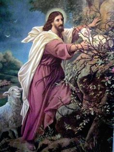 236x314 Black Sheep Is What I Named This Picture. Rescue - Jesus And The Lost Sheep Painting