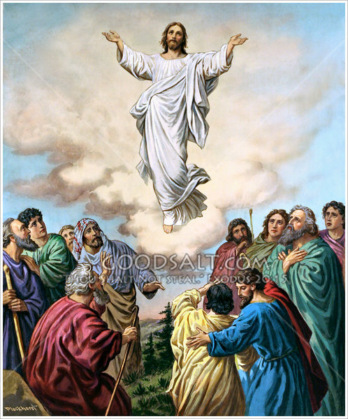 498x600 Jesus' Ascension - Jesus Ascension Painting