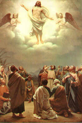 264x396 The Lord Jesus Ascends Into Heaven - Jesus Ascension Painting