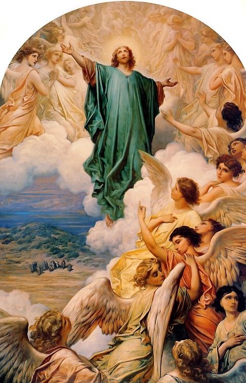 482x750 The 1431 Best Meu Senhor E Meu Deus Images - Jesus Ascension Painting