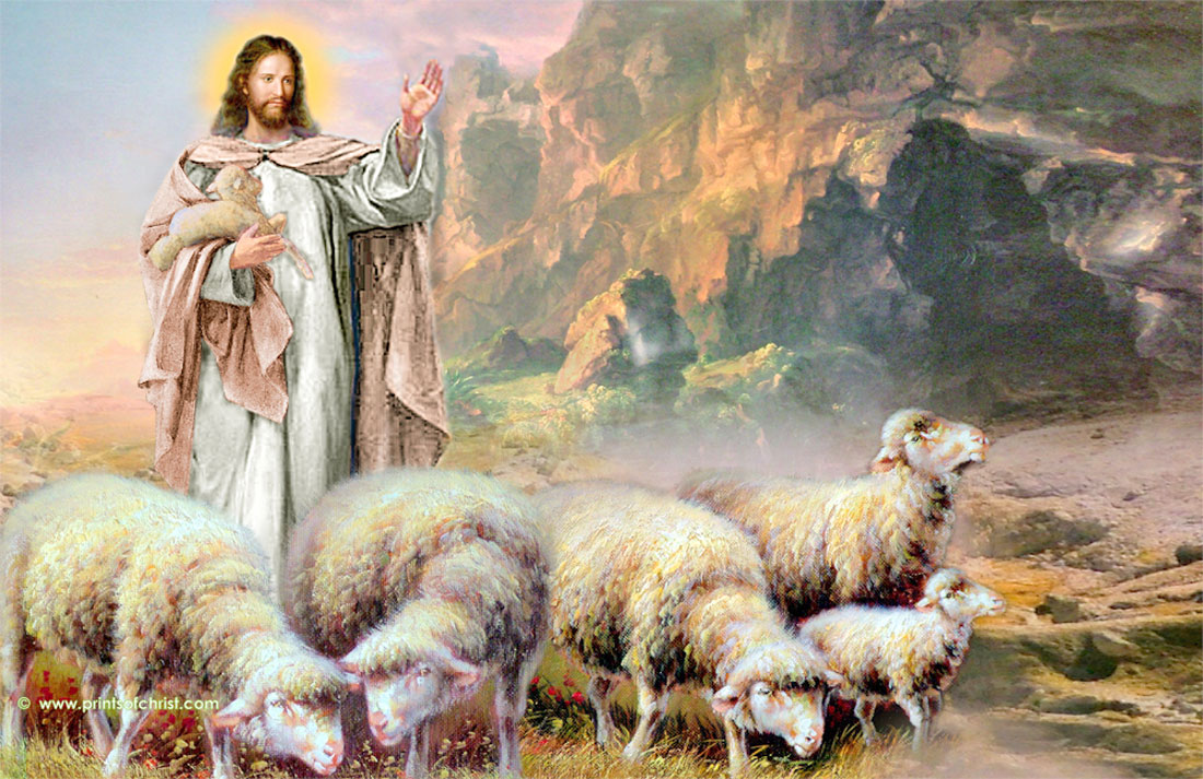 1100x713 Jesus Oil Paintings - Jesus Lamb Painting