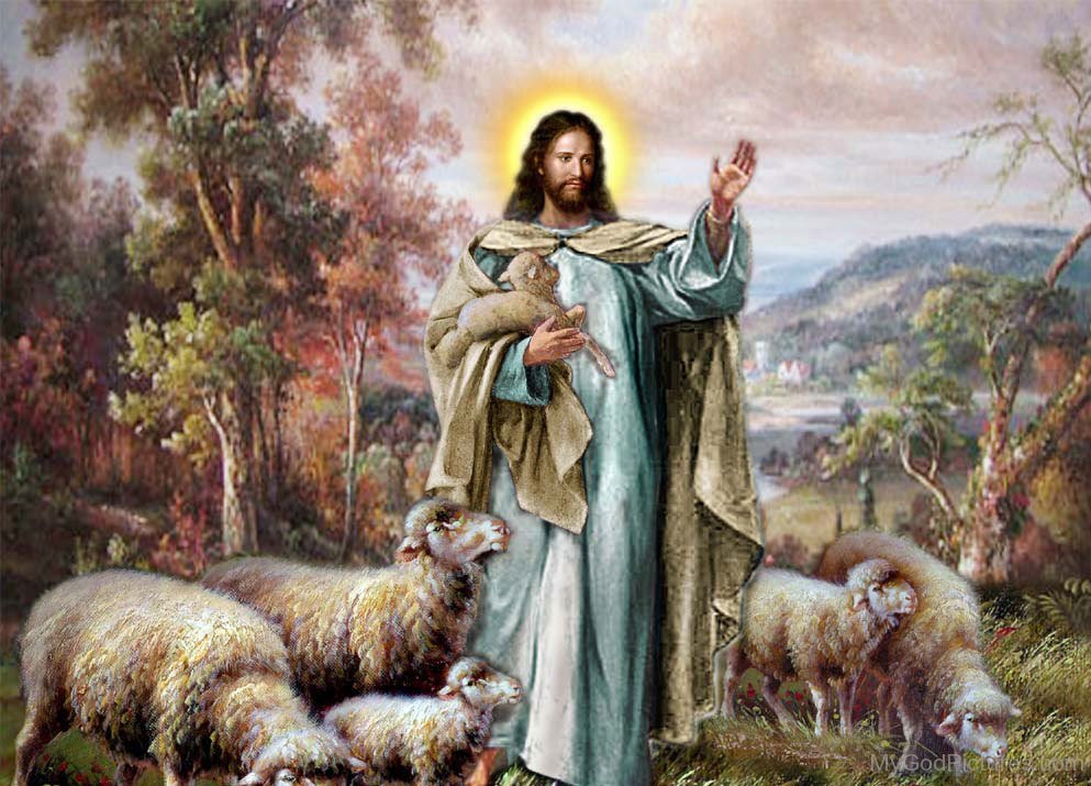 Jesus Lamb Painting At Explore Collection Of Jesus