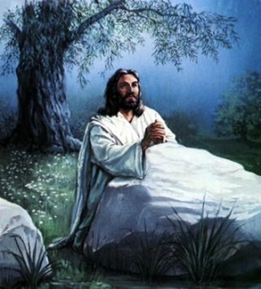 289x320 Christ Painting Painting Jesus Praying - Jesus Praying Painting