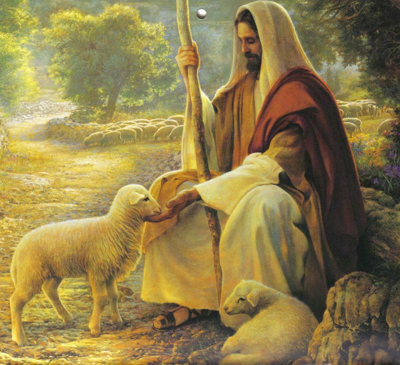 800x730 Jesus Pictures My Good Shepherd - Jesus Shepherd Painting