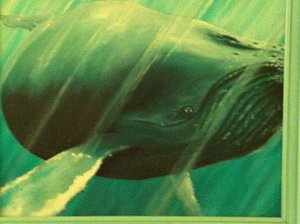 300x224 Jimmy Carter Paintings - Jimmy Carter Painting