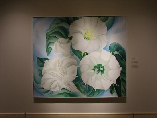 550x412 Jimson Weed Georgia O'Keeffe - Jimson Weed Painting
