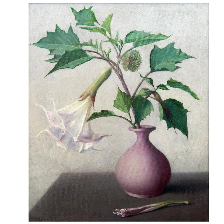 768x768 Leslie Buck Still Life Painting, Circa 1930s, Jimson Weed For Sale - Jimson Weed Painting