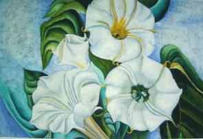 296x203 Of The Curandero's House A Pantoum Oceantics - Jimson Weed Painting