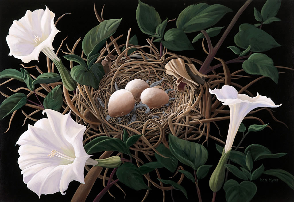 1024x705 Paintings And Sculpture By Liza Myers - Jimson Weed Painting