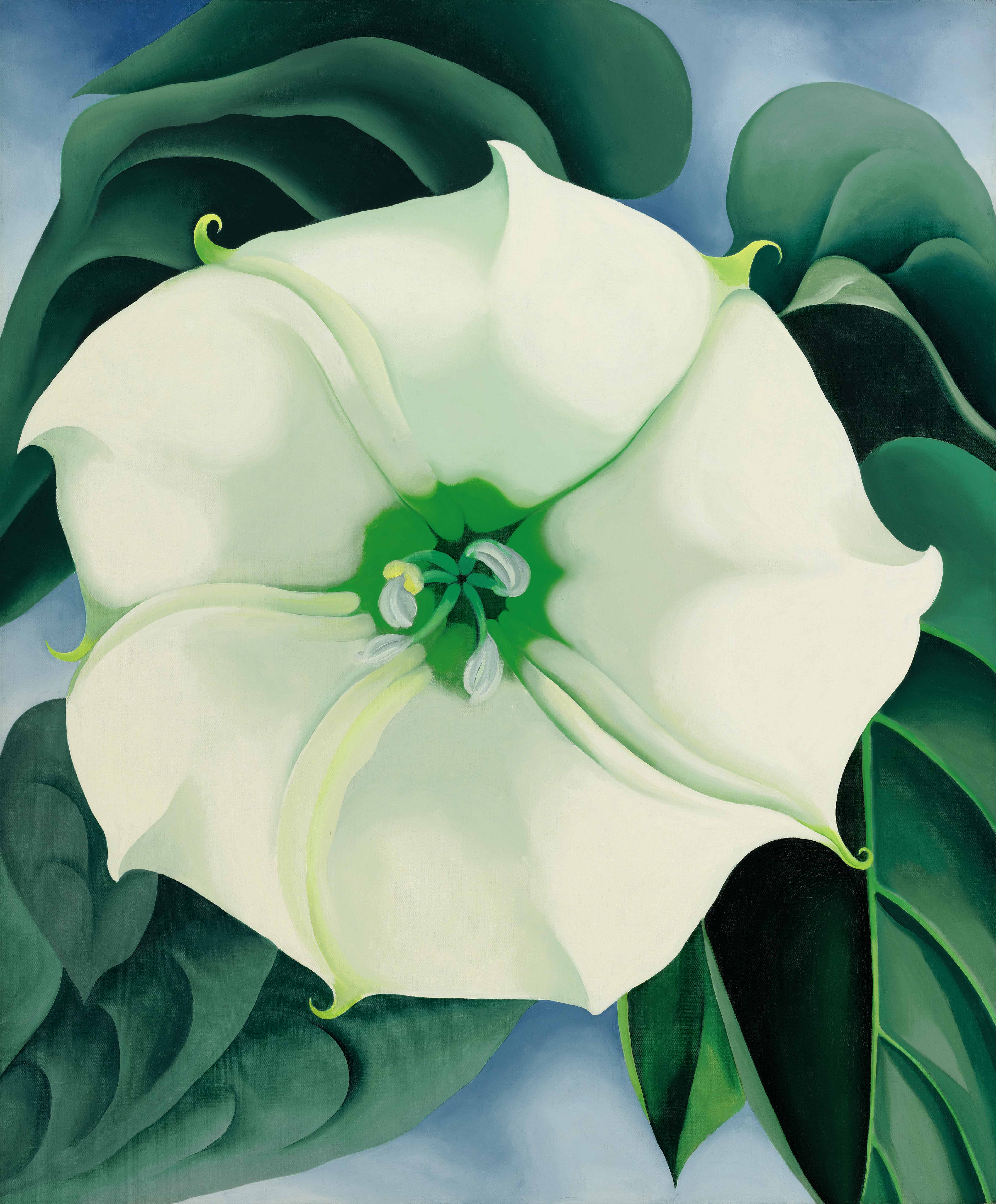 4696x5676 World's Most Expensive Painting By A Woman Goes On Display - Jimson Weed Painting
