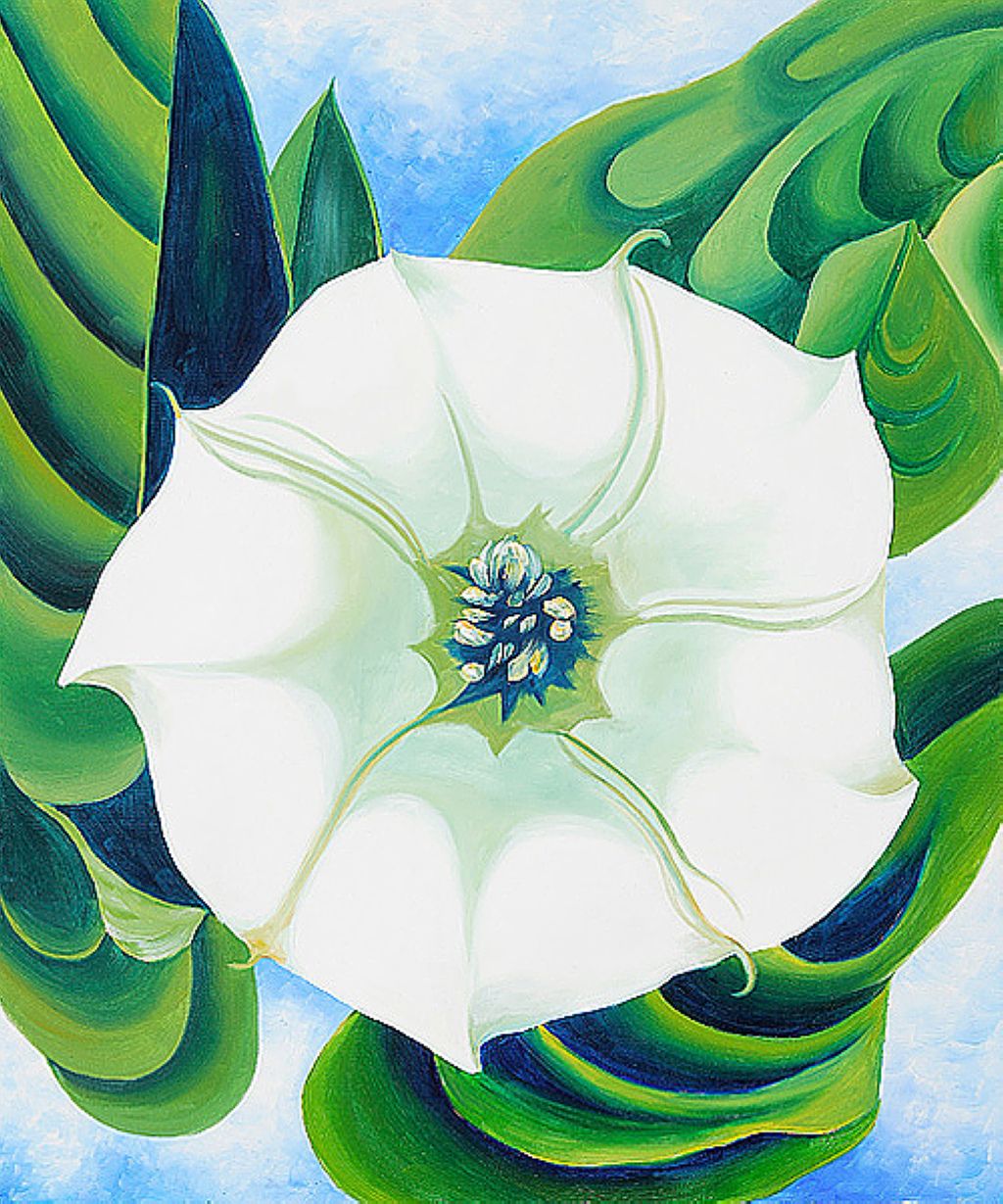1024x1229 Georgia O Keefe Jimson Weed - Jimson Weed Painting