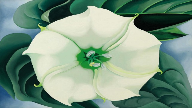 640x360 Girl Power Georgia O'Keeffe Painting Sets Record For Women - Jimson Weed Painting