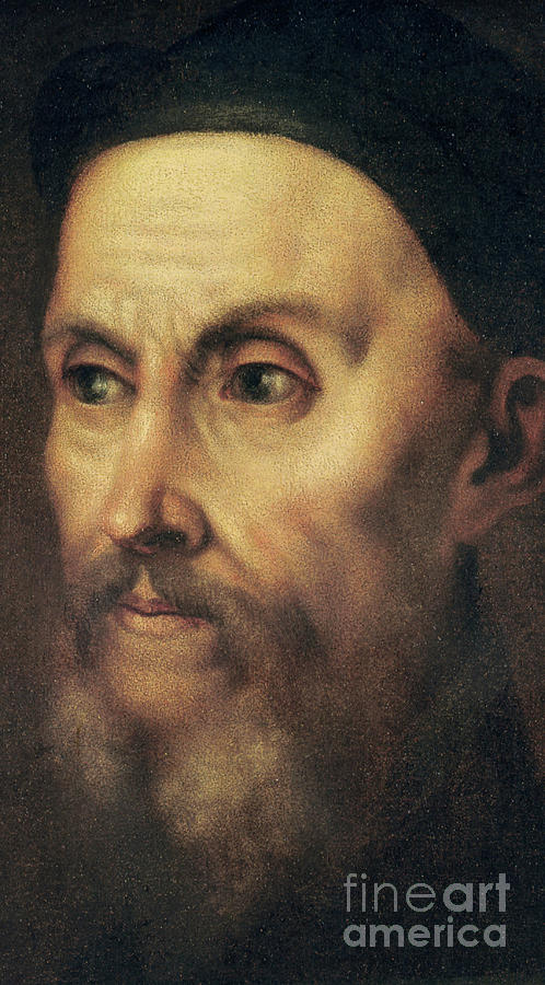 498x900 Portrait Of John Calvin Painting By Titian - John Calvin Painting