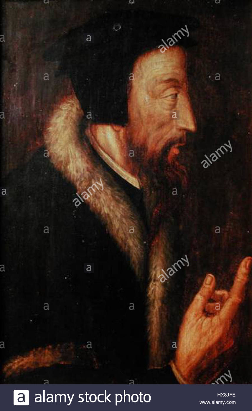 855x1390 Portrait John Calvin Stock Photo 136643794 - John Calvin Painting