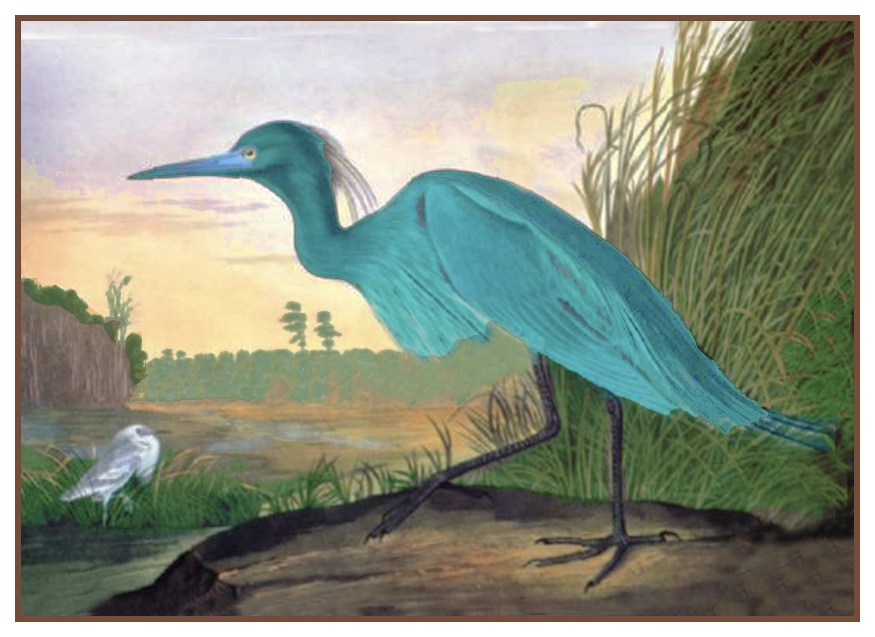 2940x2140 Little Blue Heron Bird Illustration By John James Audubon Counted - John James Audubon Painting
