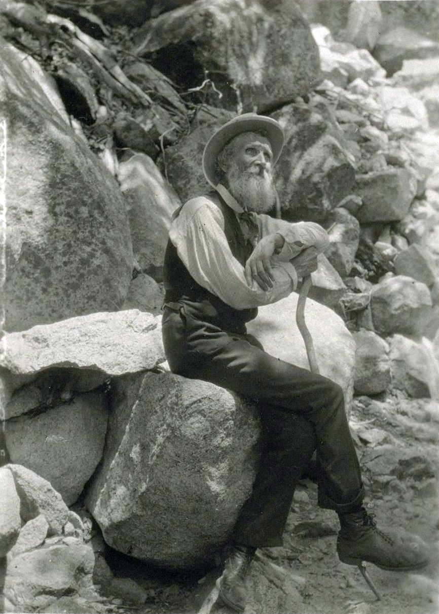866x1210 John Muir - John Muir Painting