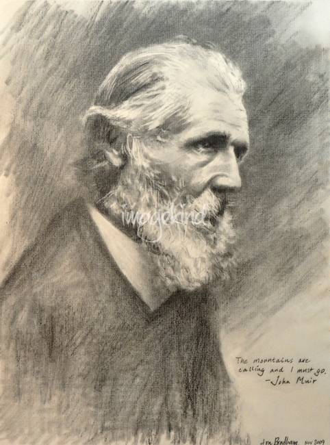 482x650 John Muir Pencil Drawing By Jon Bradham - John Muir Painting