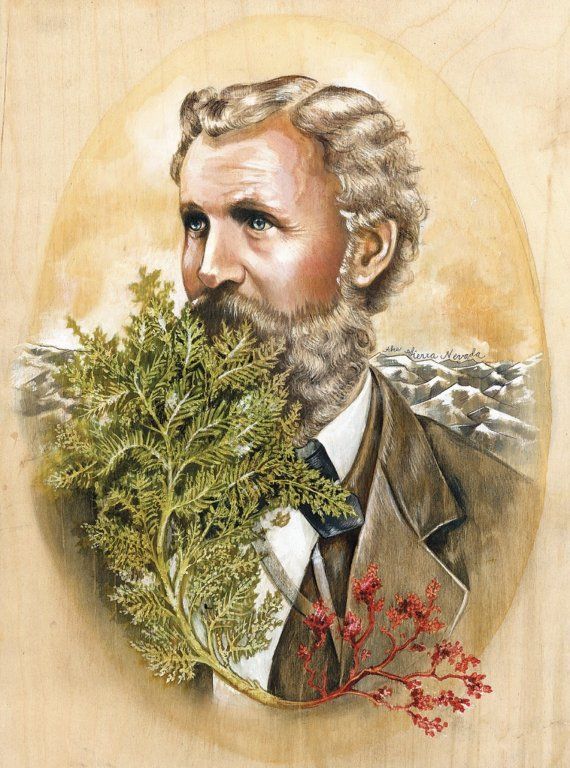 570x768 Lisel Jane Ashlock. John Muir. My Illustration - John Muir Painting