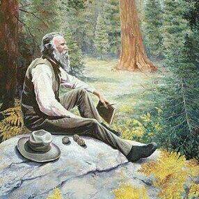 286x286 John Muir (@johnmuirlegacy) Twitter - John Muir Painting