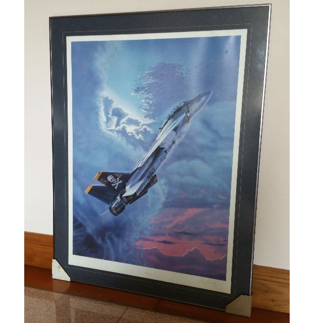 640x640 Awesome F 14 Tomcat Aviation Art Limited Edition Art Print - Jolly Roger Painting