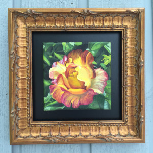 300x300 Joseph's Coat Of Many Colors Rose (Dad's Artwork Archive - Joseph Coat Of Many Colors Painting