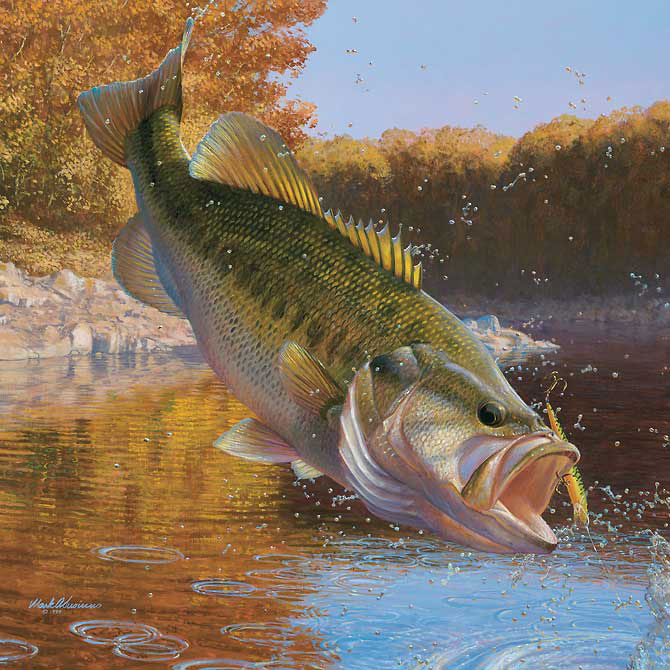 Jumping Bass Painting At Paintingvalley Com Explore Collection Of