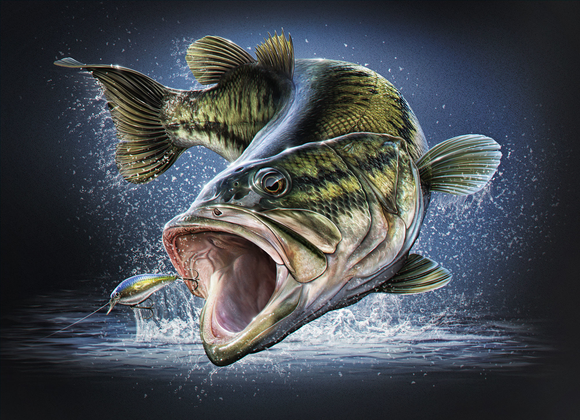 2000x1451 Illustration - Jumping Bass Painting