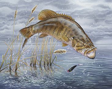 366x290 Smallmouth Bass - Jumping Bass Painting