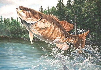 400x279 Smallmouth Bass Fishing Tips Amp Articles - Jumping Bass Painting