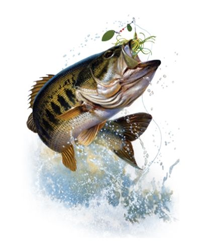 400x500 Bass Fish Jumping - Jumping Bass Painting