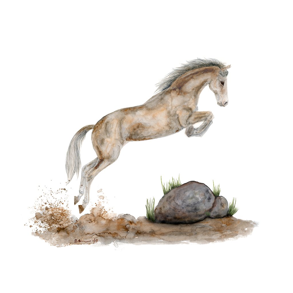 1024x1024 Jumping Horse Painting Fine Art Giclee Print Tiny Toes Design - Jumping Horse Painting