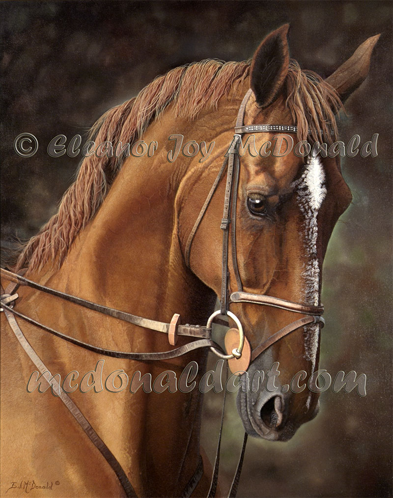 800x1012 Big Ben One Of Canada's Show Jumping Horses, Oil Painting - Jumping Horse Painting