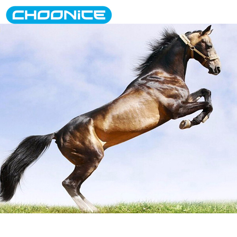 800x800 Diamond Painting Horse Diy 3d Diamond Embroidery Sets - Jumping Horse Painting