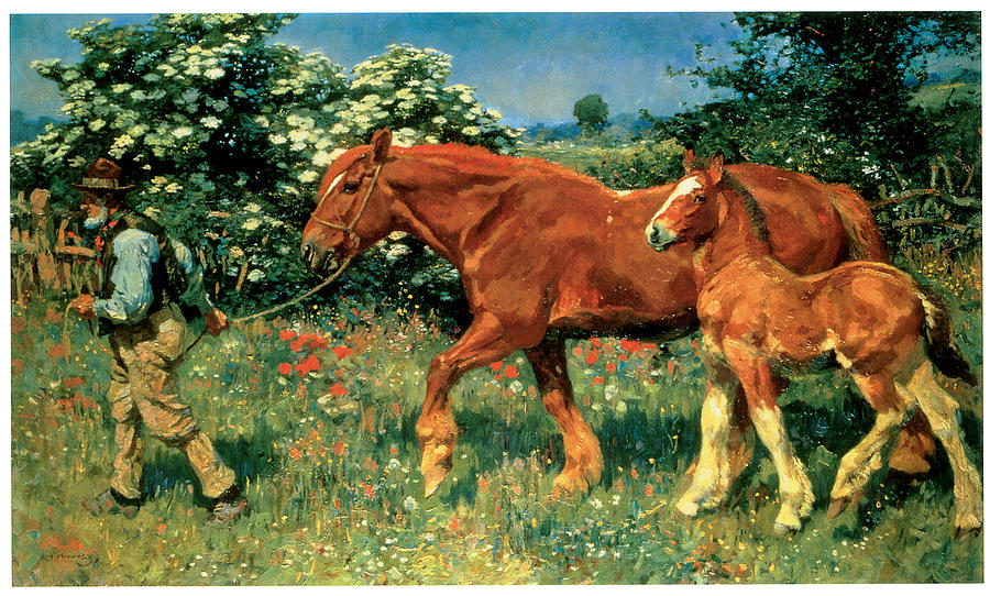900x542 Sunny June Painting By Alfred Munnings - June Painting