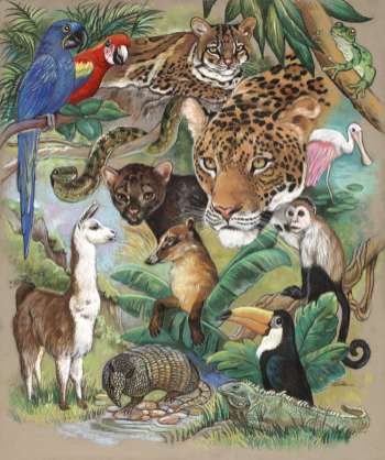 350x418 Pat Tadena - Jungle Animal Painting