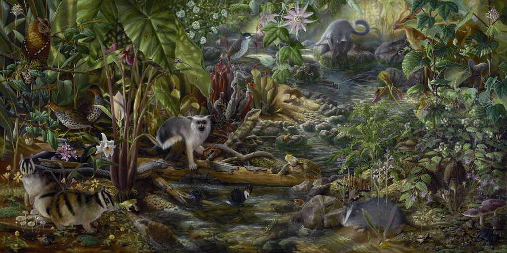 1024x512 Still Life With Life Earth Island Journal Earth Island Institute - Jungle Animal Painting
