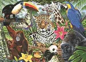 300x218 Zoo Montage Jungle Animals Painting Acrylic Paint By Numbers Box - Jungle Animal Painting