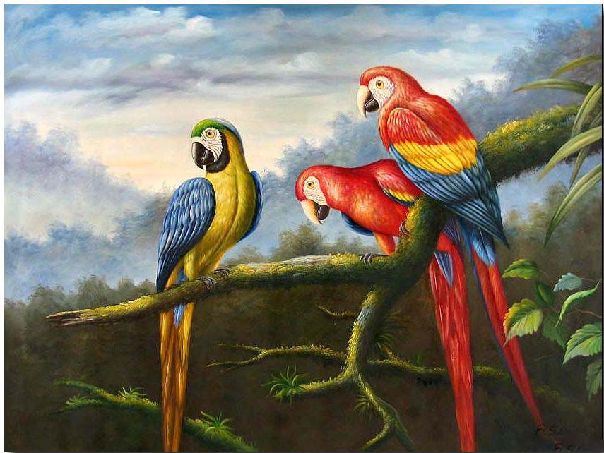 Jungle Animal Painting at Explore collection of