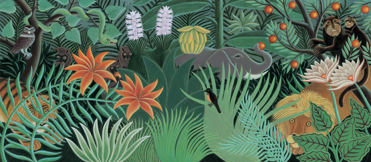 750x329 Endpapers - Jungle Painting For Kids