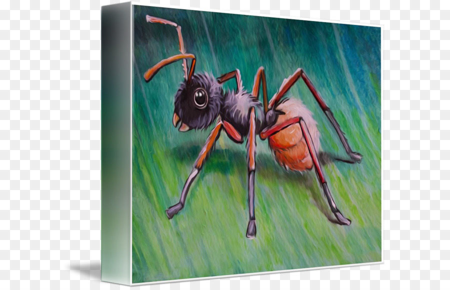 900x580 Painting Insect Modern Art K2 - K2 Painting